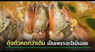 ต้มยำกุ้ง