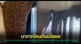 สัตว์เข้าบ้าน