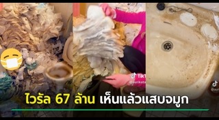 ทำความสะอาดห้องน้ำ
