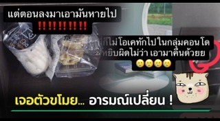 วาฟเฟิล