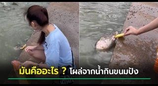 อาหารปลา