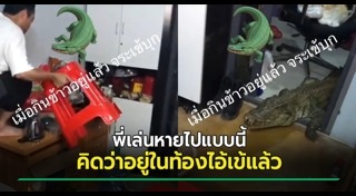 สัตว์เข้าบ้าน