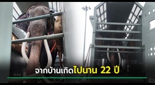 พลายศักดิ์สุรินทร์