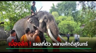 พลายศักดิ์สุรินทร์