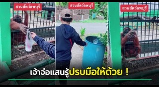 สัตว์แสนรู้