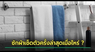 แบคทีเรีย