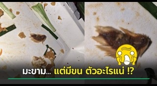 ผัดไทย