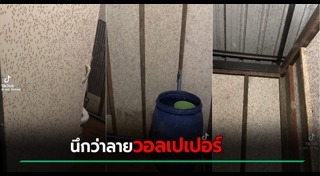 แมลงบุกบ้าน