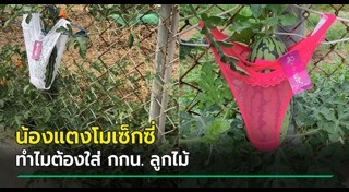 กางเกงใน