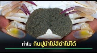 ปูม้า