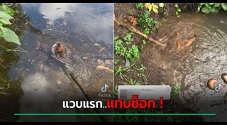 ตุ๊กตาลูกเทพ