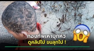 เหา
