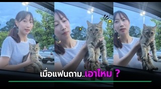 แมวถูกทิ้ง