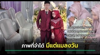 แมลงวัน