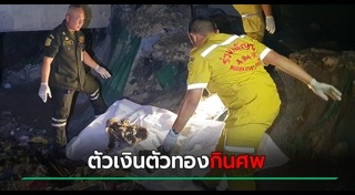 โครงกระดูก