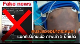 แบคทีเรีย