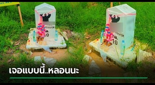 ปลูกบ้าน