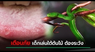 งูเขียวหางไหม้