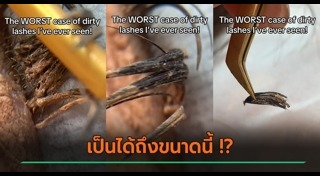 ขนตาปลอม