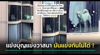 คอนโดหรู