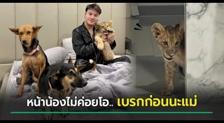 บูม หมูทะ