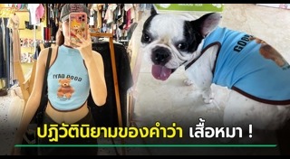 เสื้อครอป