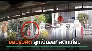 รถชนหมา