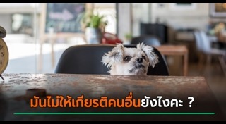 ร้านสเต๊ก