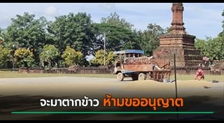 ตากข้าว