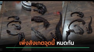 เครื่องดื่มชูกำลัง