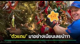 ต้นคริสต์มาส