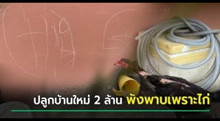 เลี้ยงไก่