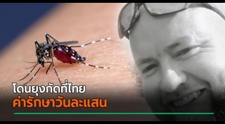 ไข้เลือดออก