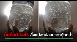 ตู้กดอัตโนมัติ