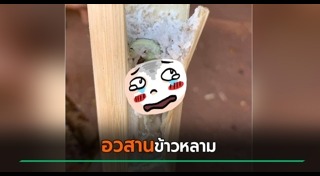 ข้าวหลาม