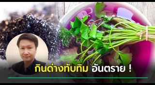 ด่างทับทิม