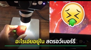 สตรอว์เบอร์รี