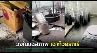 เฉาก๊วย