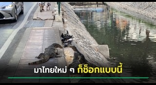 คนญี่ปุ่น