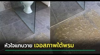 ทำความสะอาดห้องน้ำ