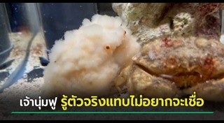 สัตว์น้ำ