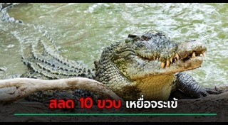 สัตว์เลื้อยคลาน