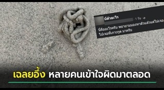 ไส้เดือน