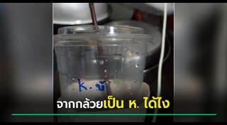 แก้วกาแฟ