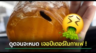 แมลงสาบในอาหาร