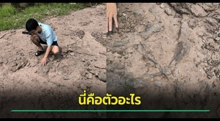 ขอนแก่น