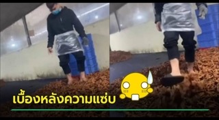 ตีนไก่