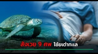 กินแปลก