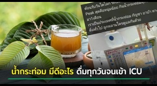 ใบกระท่อม