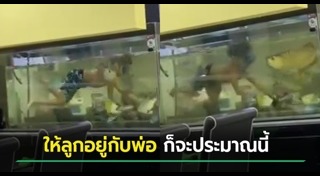 ว่ายน้ำ